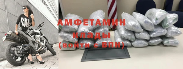 мдпв Бикин