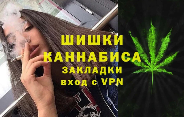 шишки Беслан