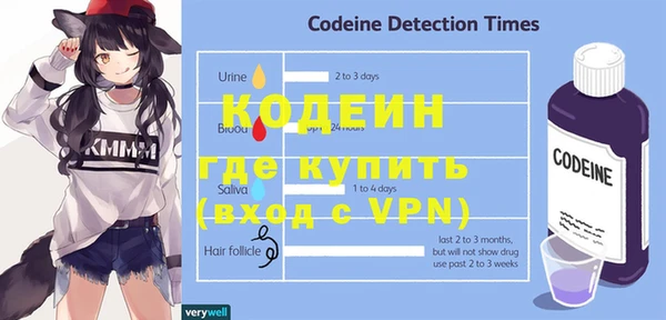 шишки Беслан