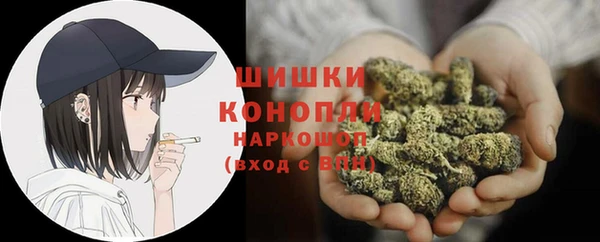 прущие крисы Билибино