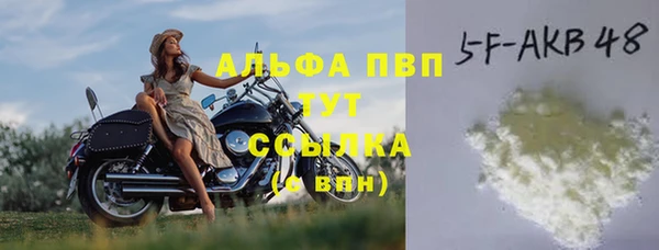 прущие крисы Билибино