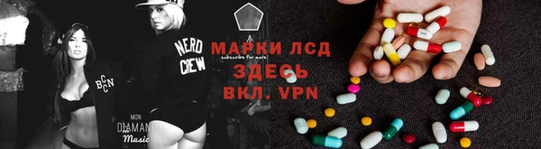 мдпв Бикин