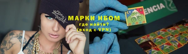 мдпв Бикин