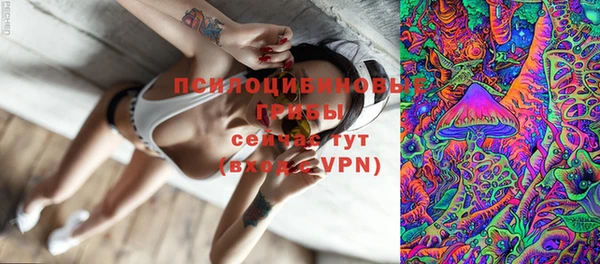 шишки Беслан