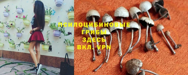 мдпв Бикин