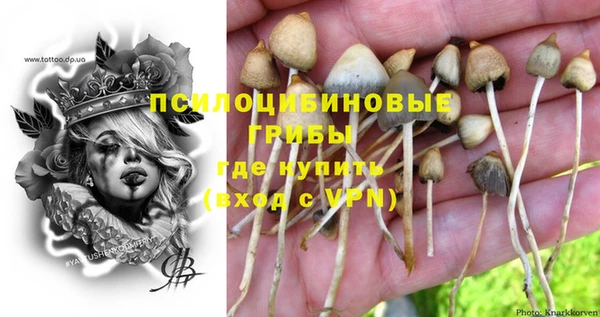 мдпв Бикин