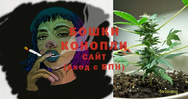 шишки Беслан