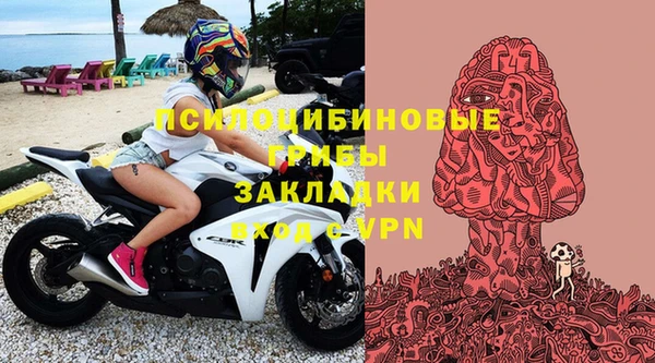 шишки Беслан
